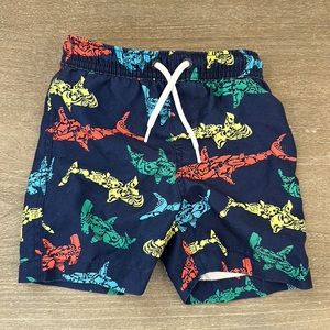 Lands end bathing suit bottoms